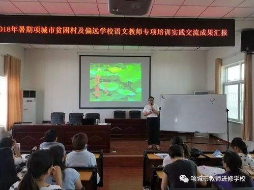 牵手乡村学校 共筑教育梦想——项城市贫困村及偏远学校语文教师专项培训纪实